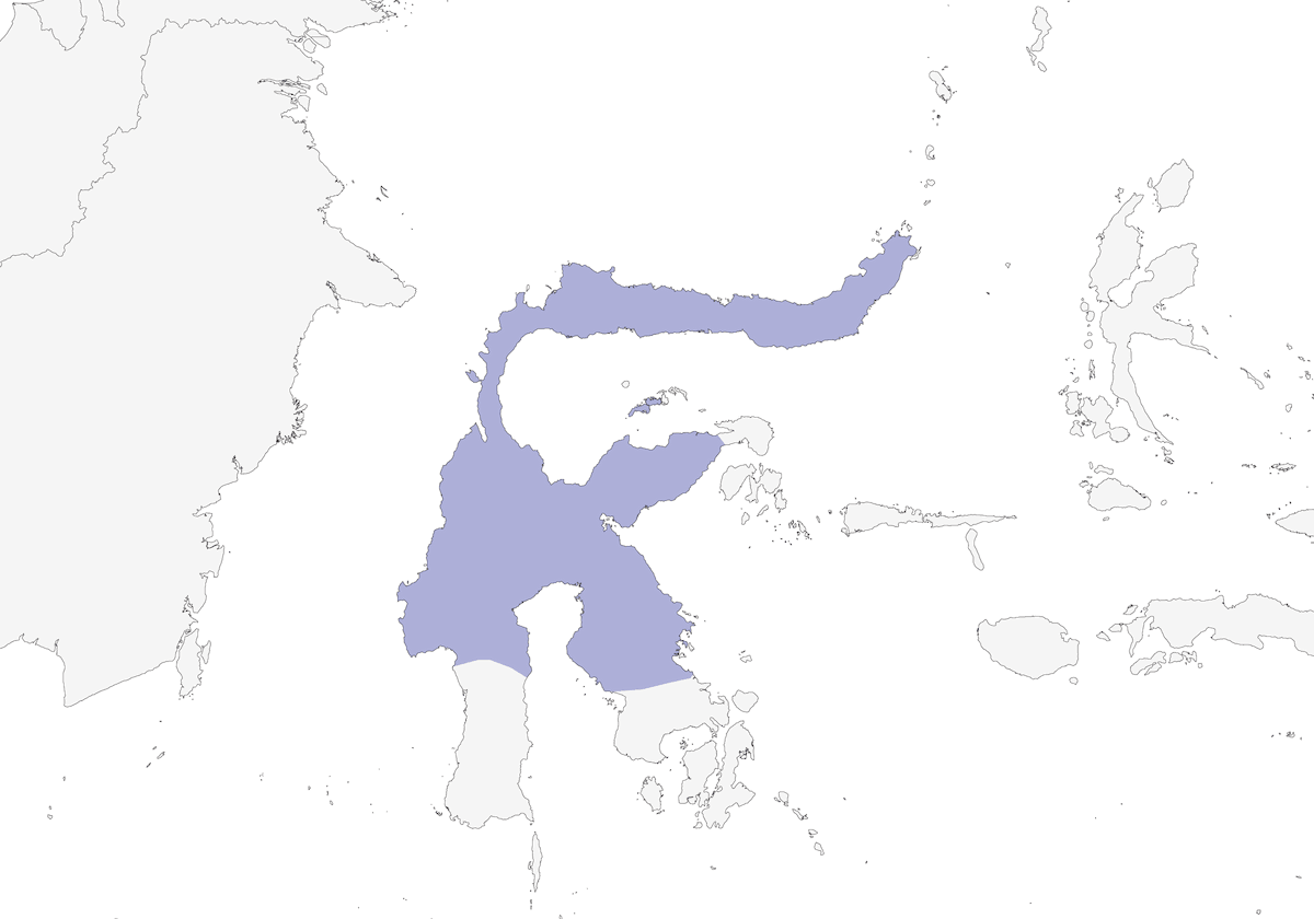 Abejaruco Barbipúrpura, Distribución 1