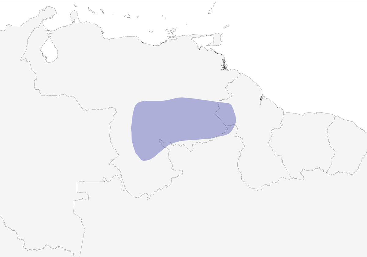 Coqueta Pavonina, Distribución 1