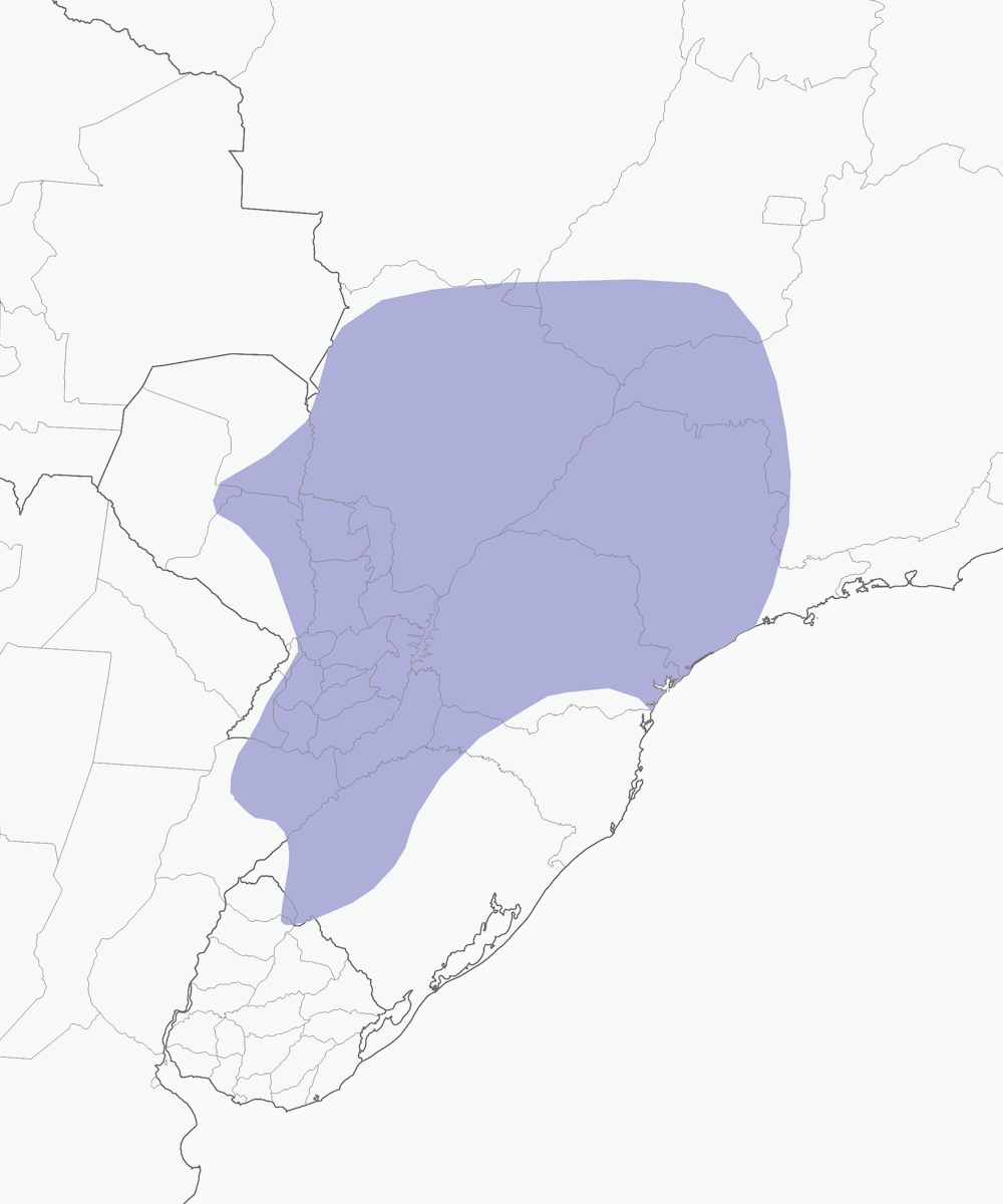 Pearly-bellied Seedeater, Distribution 1