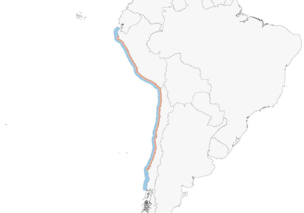 Potoyunco Peruano, Distribución 1