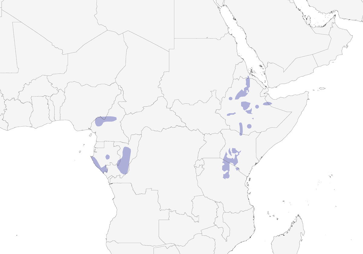 Brustfleck-Zistensänger, Verbreitung 1