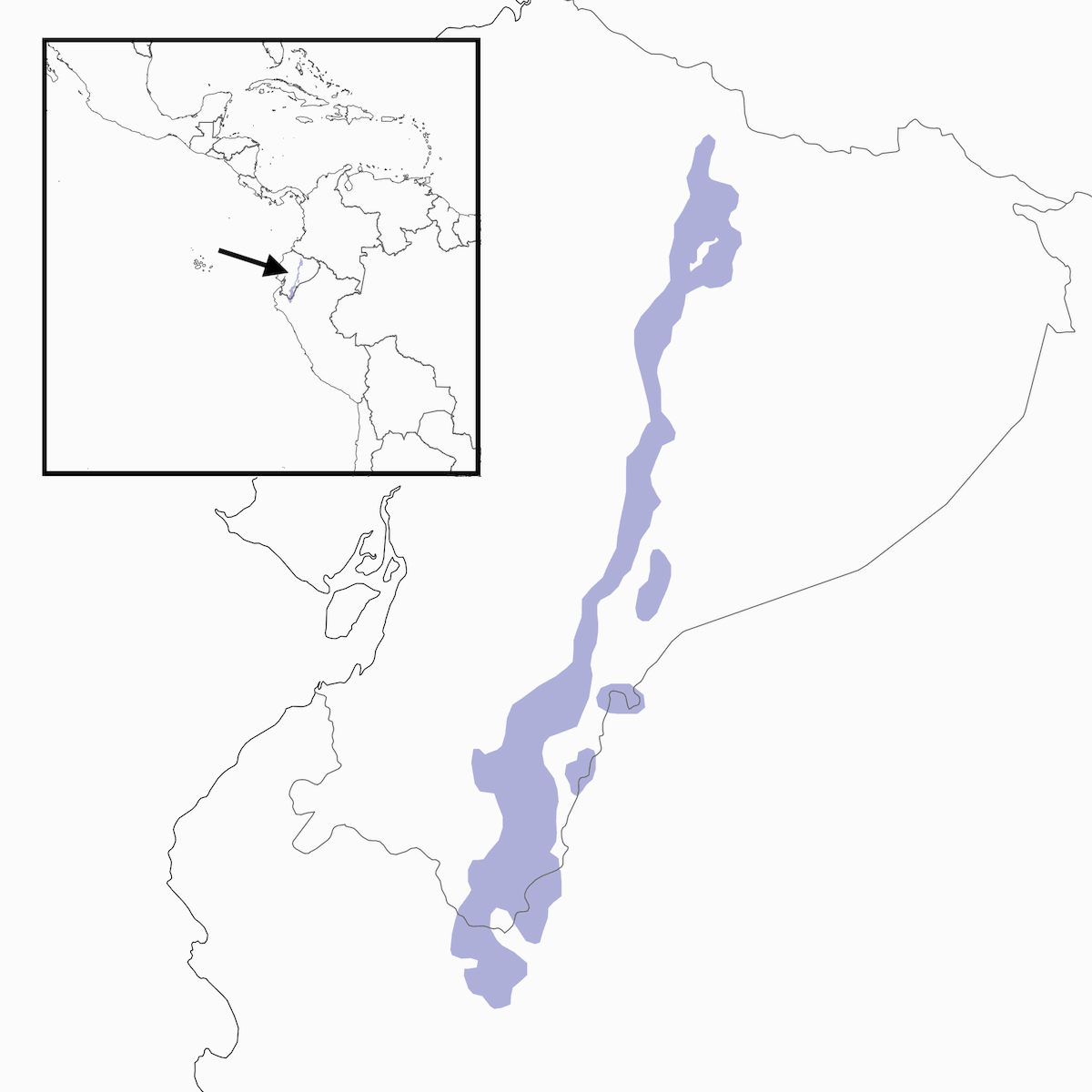 Antpitta del Perù, Distribuzione 1