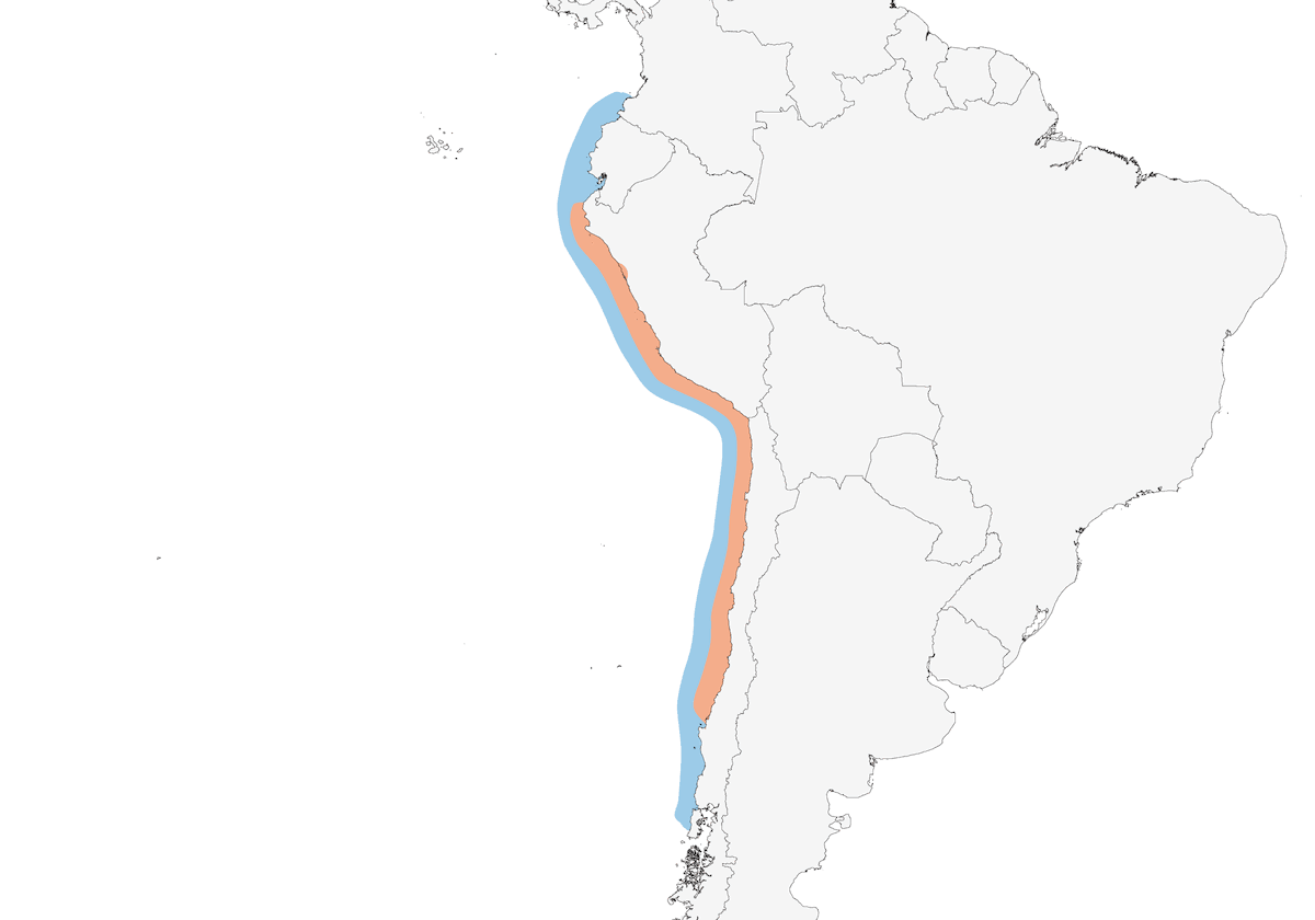 Peruvian Booby, Distribution 1