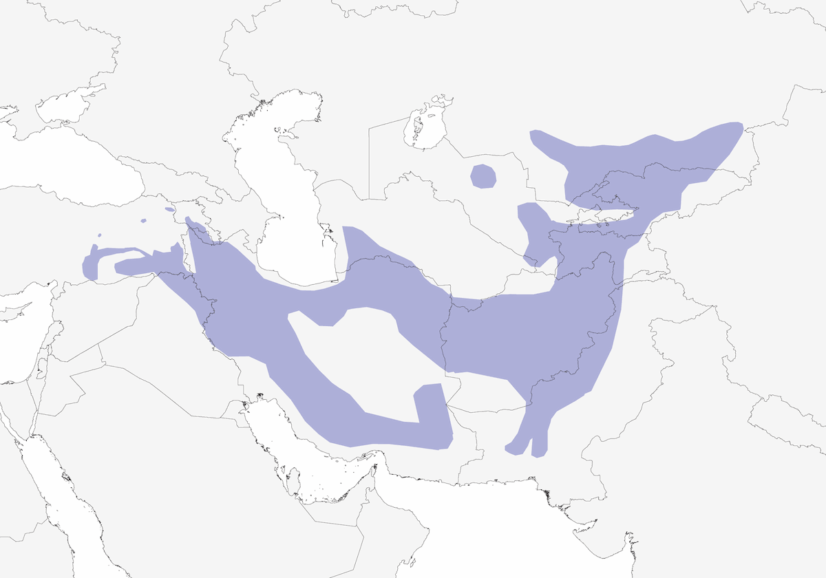 Trepador rupestre oriental, Distribución 1