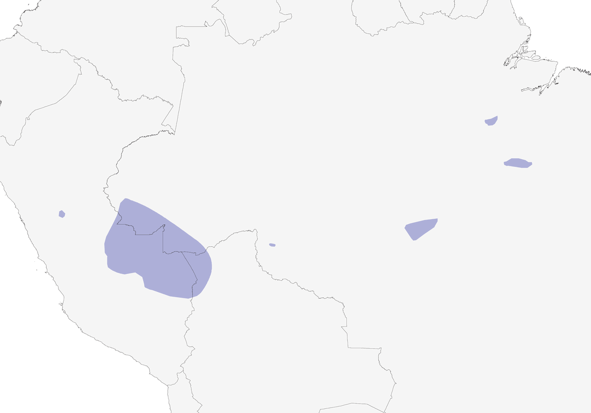 Bec-en-croc du Pérou, Distribution 1