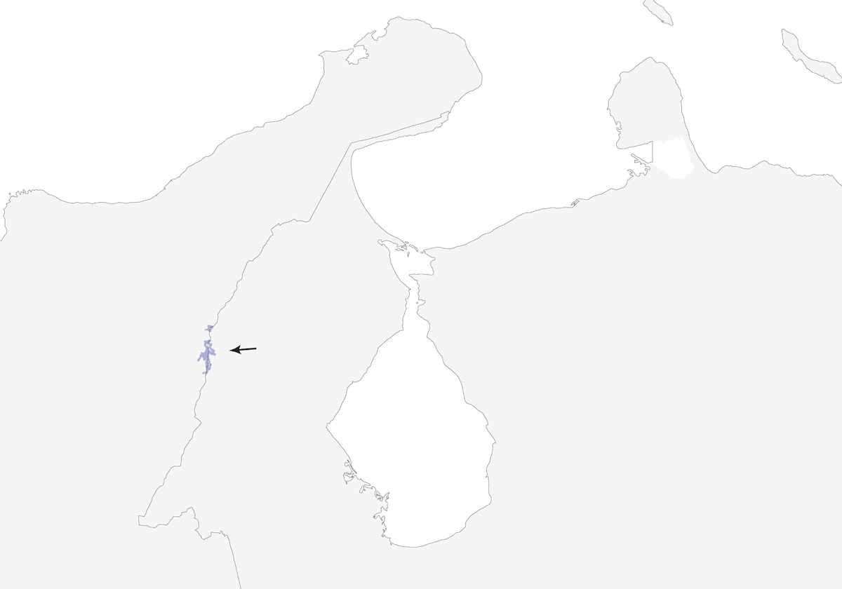 Colaespina de Perijá, Distribución 1