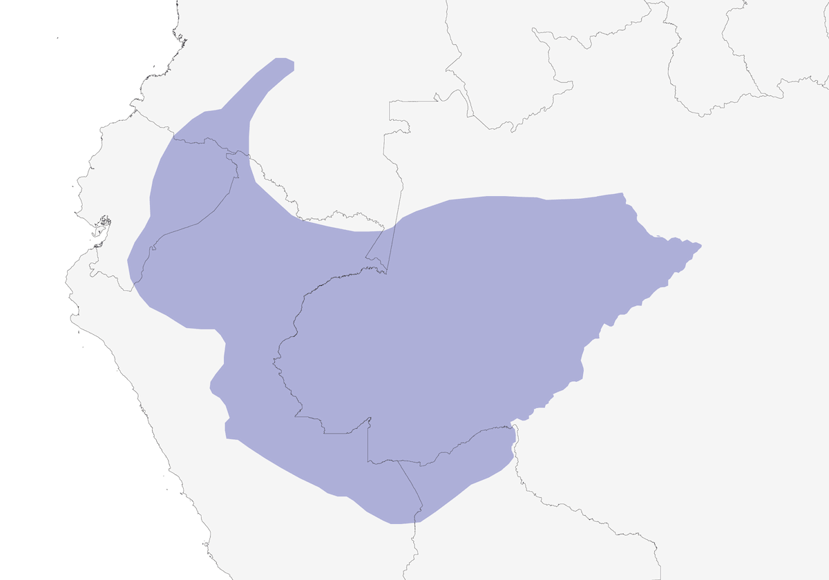 Peruvian Warbling-Antbird, Distribution 1