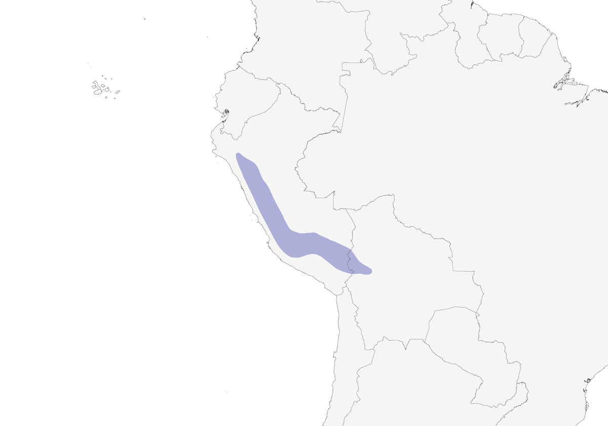Peru-Bergtangare, Verbreitung 1