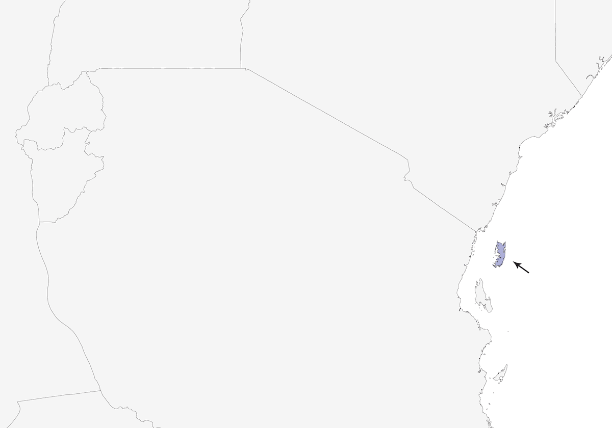 Occhialino di Pemba, Distribuzione 1