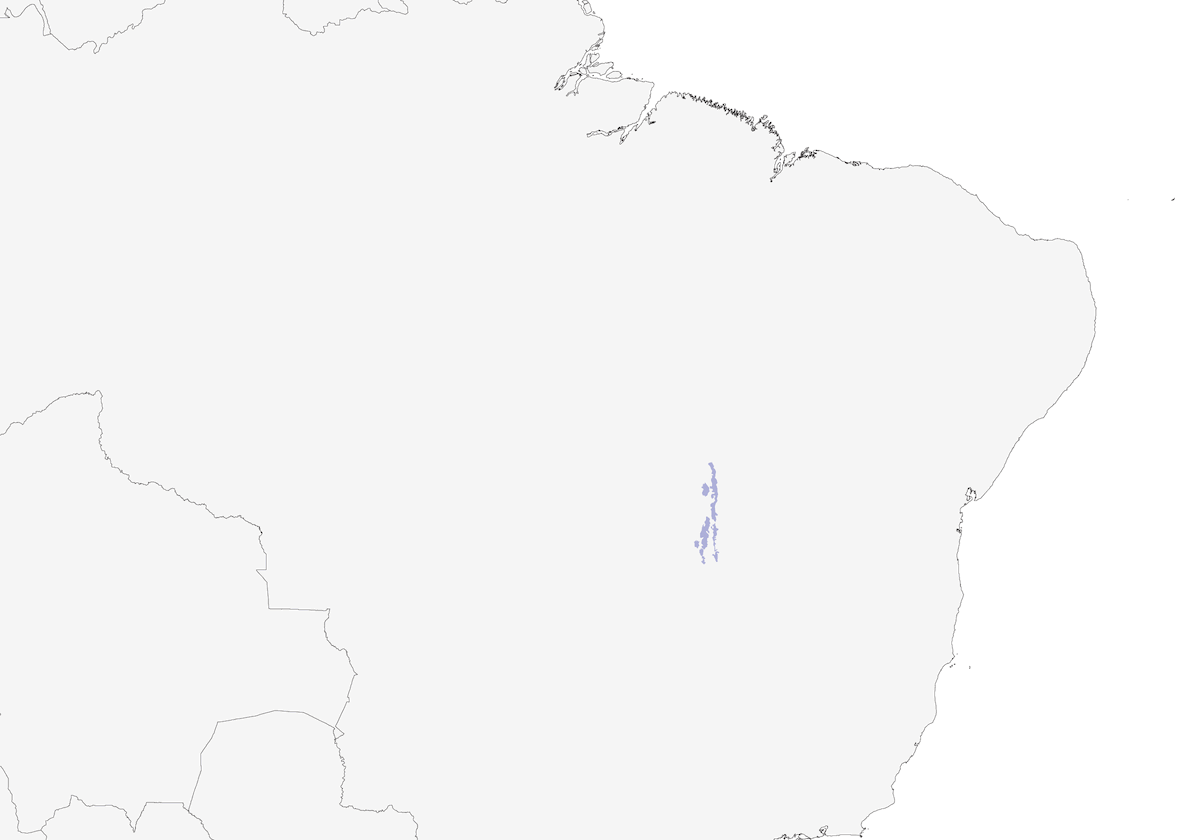Perico de Pfrimer, Distribución 1