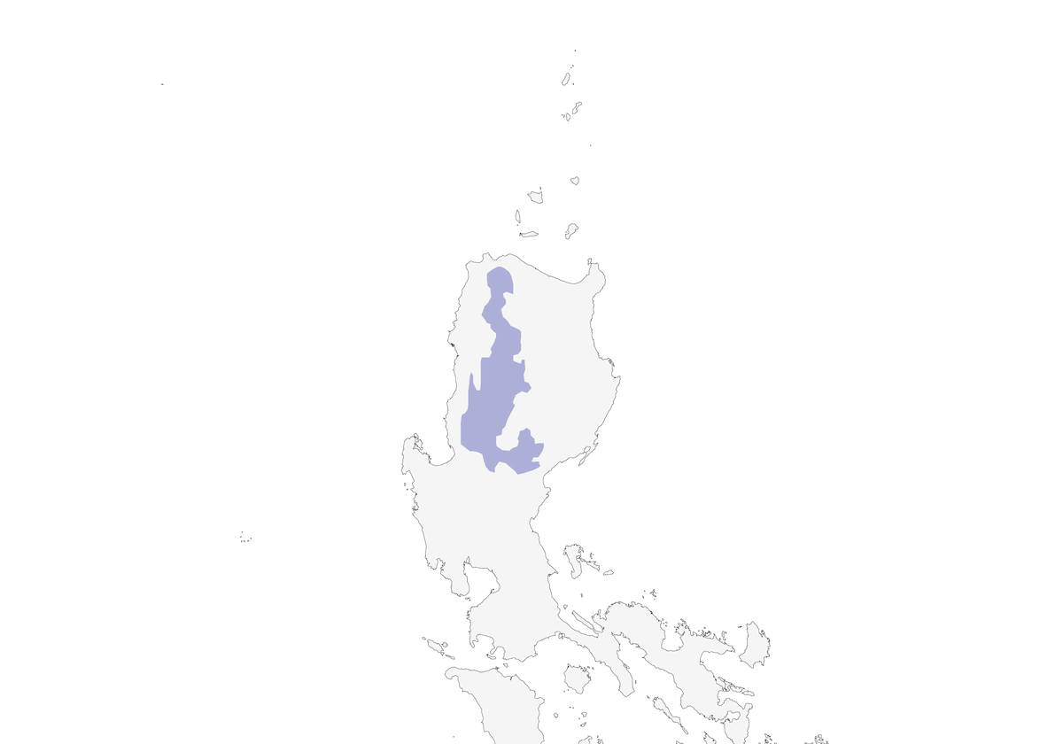 Locustella delle Filippine, Distribuzione 1