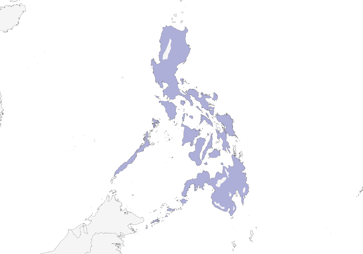 Tourterelle à collier des Philippines, Distribution 1