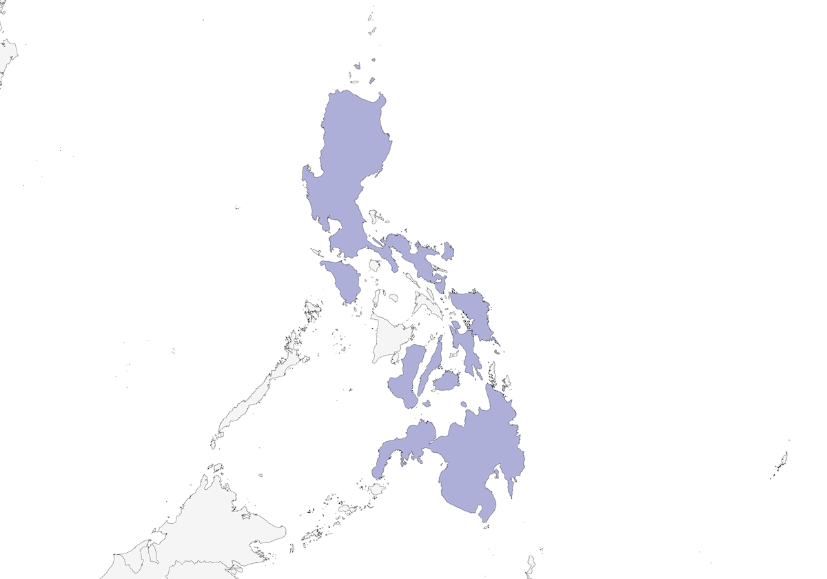 Halconcillo filipino, Distribución 1