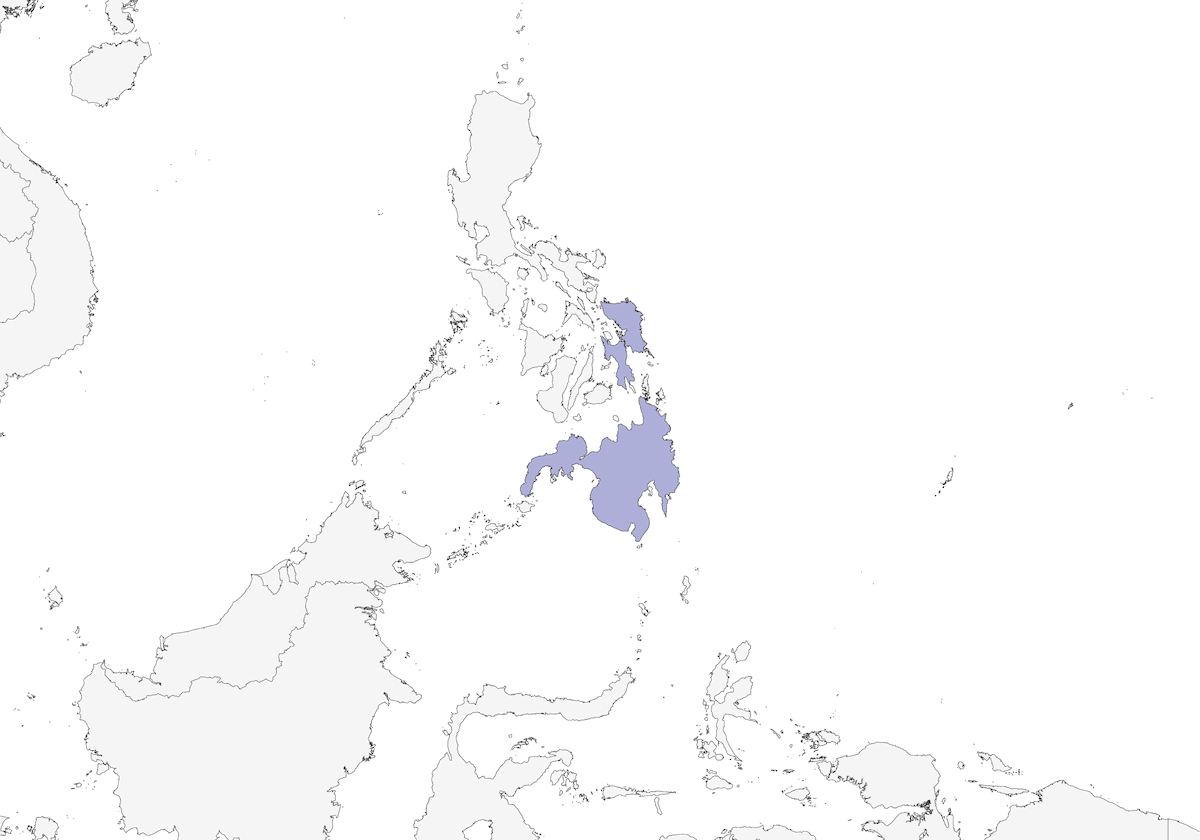 Philippine Leafbird, Distribution 1
