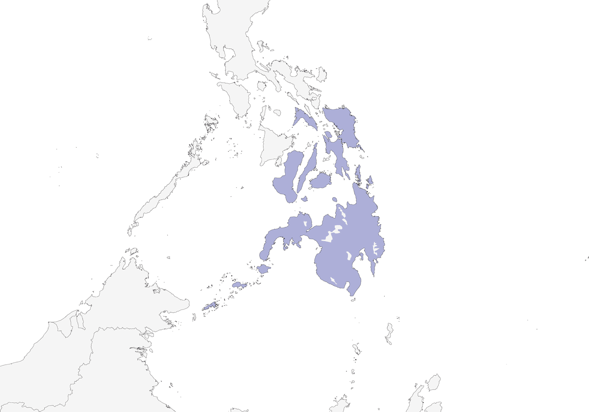 Philippine Oriole, 分布 1