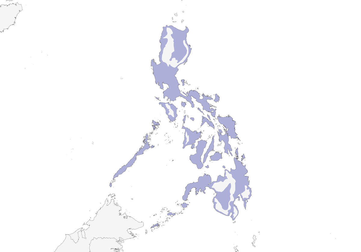 Abanico Pío Filipino, Distribución 1