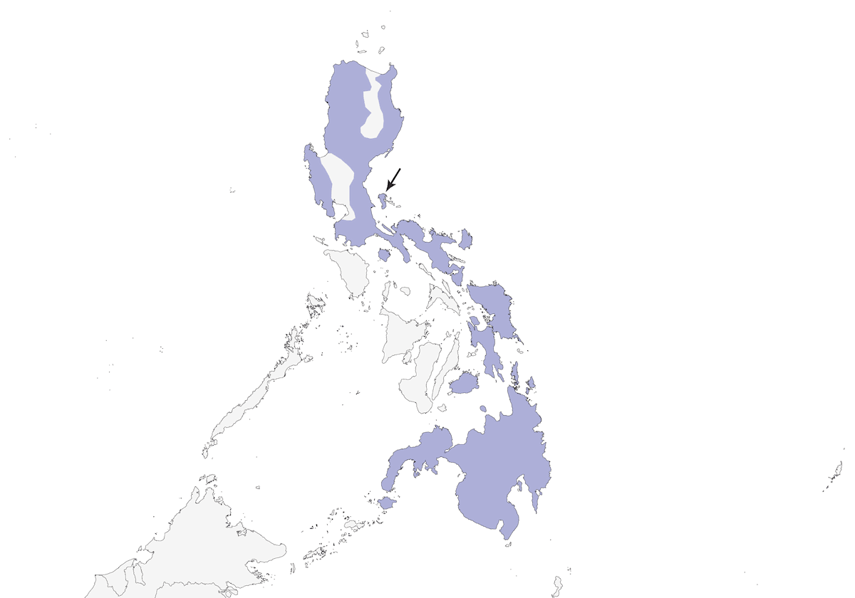 Trogon des Philippines, Distribution 1