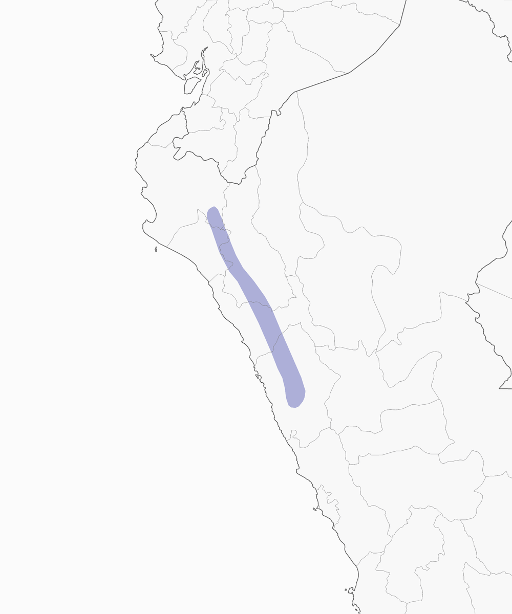 Moucherolle de Piura, Distribution 1