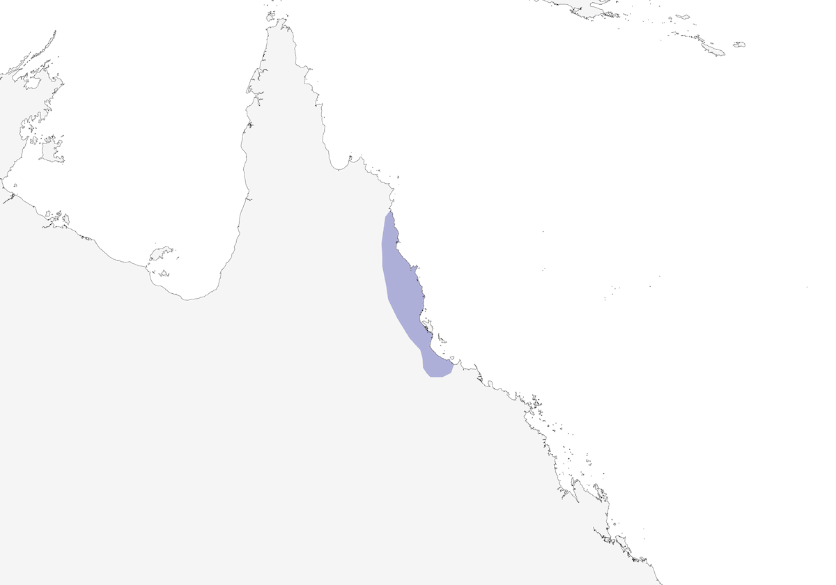Monarque pie, Distribution 1