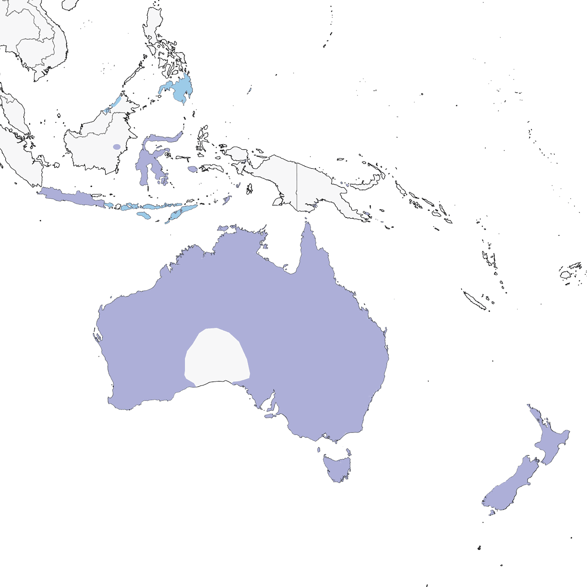 Cavaliere australiano, Distribuzione 1