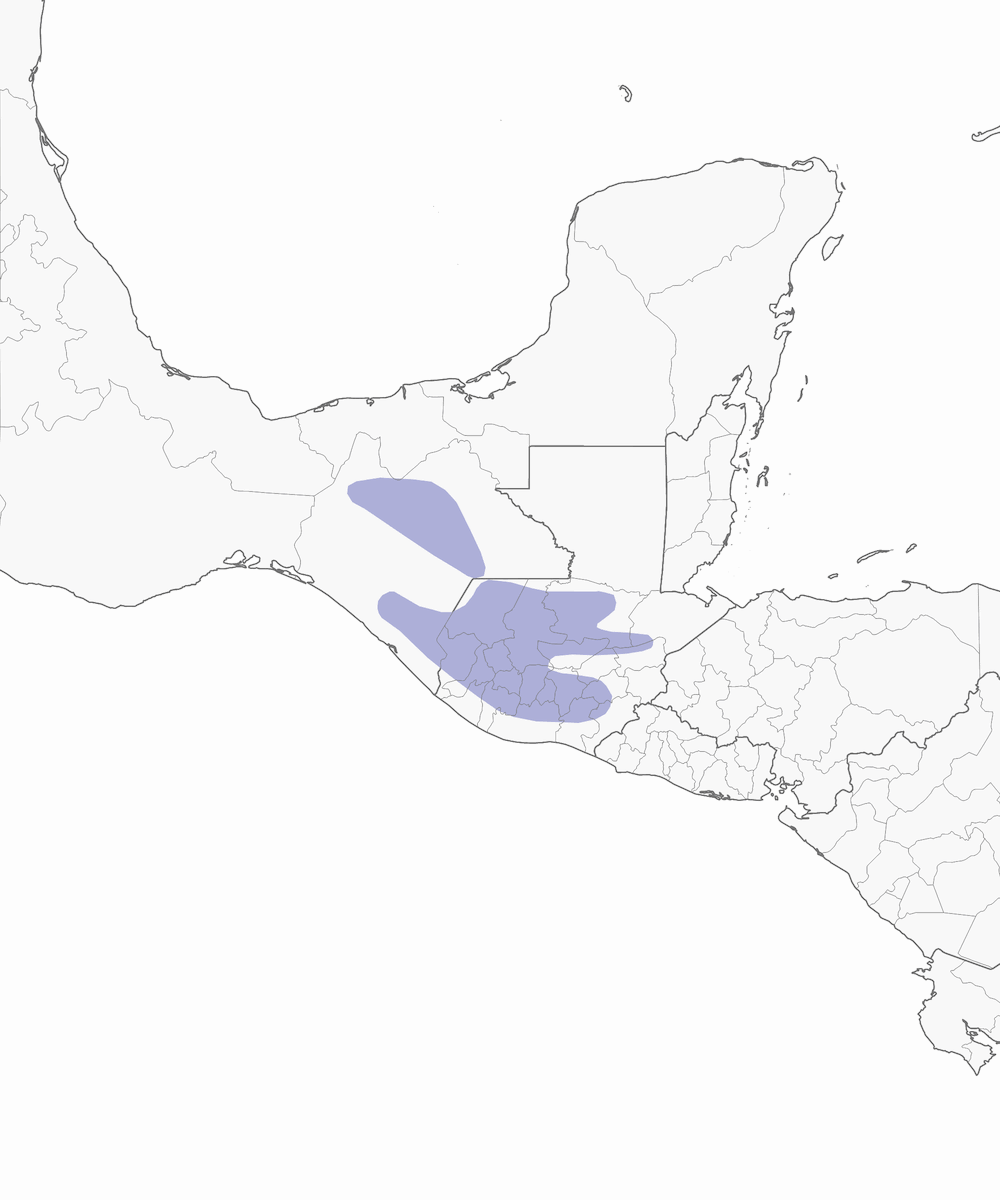 Pink-headed Warbler, Distribution 1