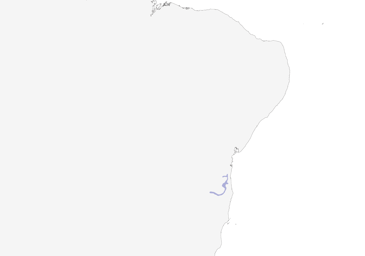 Pink-legged Graveteiro, 分布 1