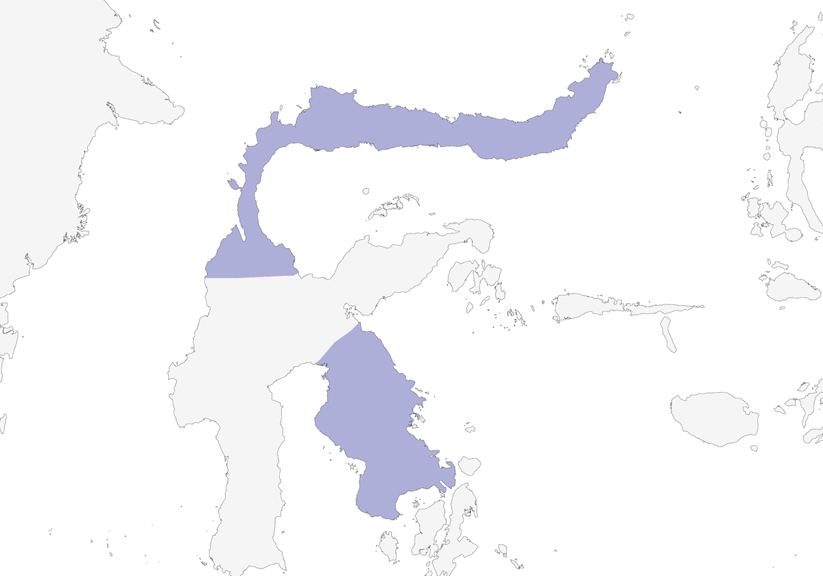 Rascón Roncador, Distribución 1