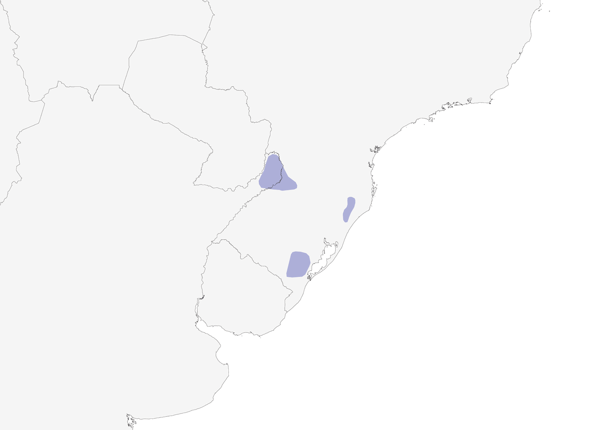 Planalto Tapaculo, Distribution 1