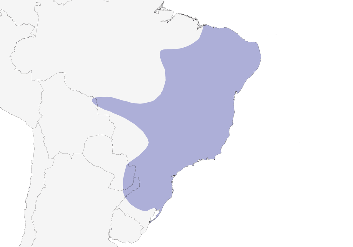 Tirannoide dell'altopiano, Distribuzione 1