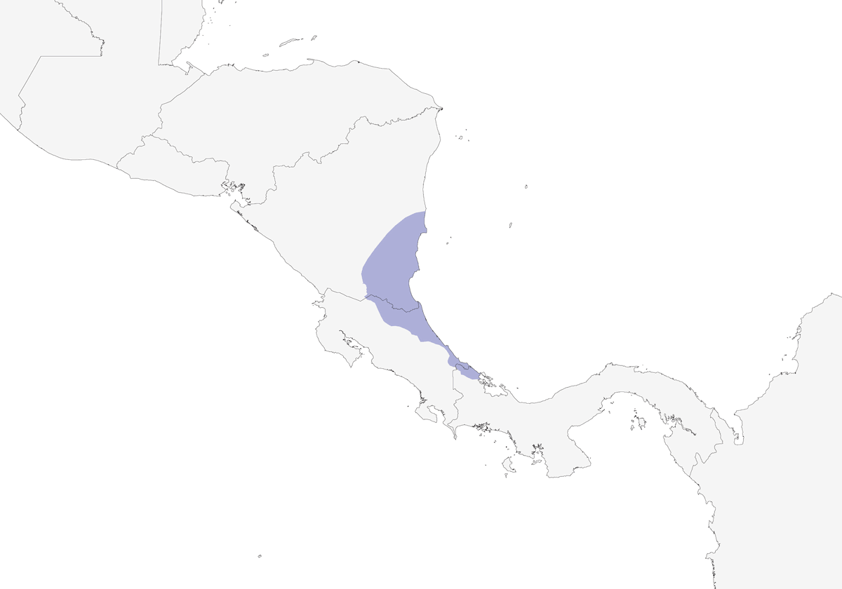 Chochín de cañaveral, Distribución 1