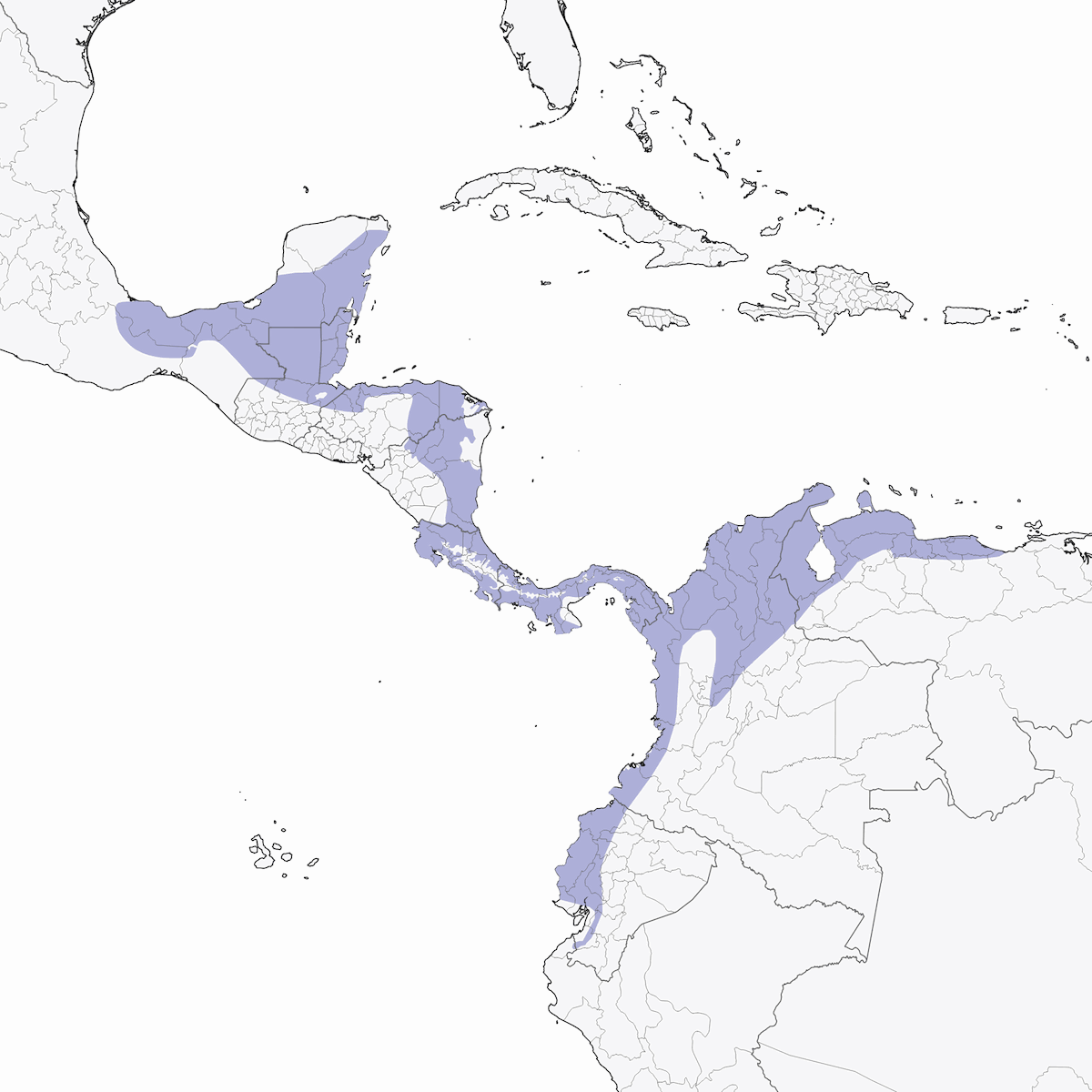 Northern Plain-Xenops, Distribution 1