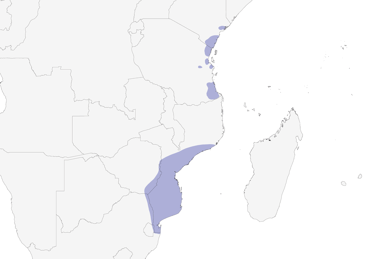 Plain-backed Sunbird, Distribution 1