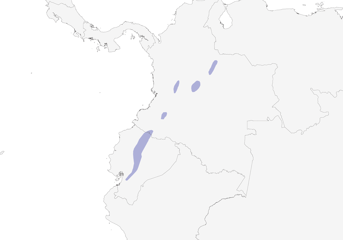 Dormilona de gorro liso, Distribución 1