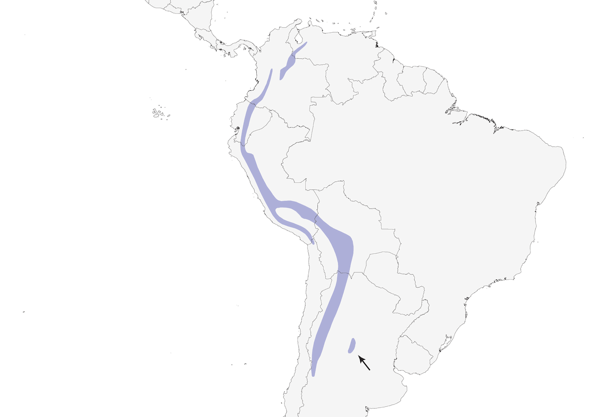 Plain-colored Seedeater, Distribution 1