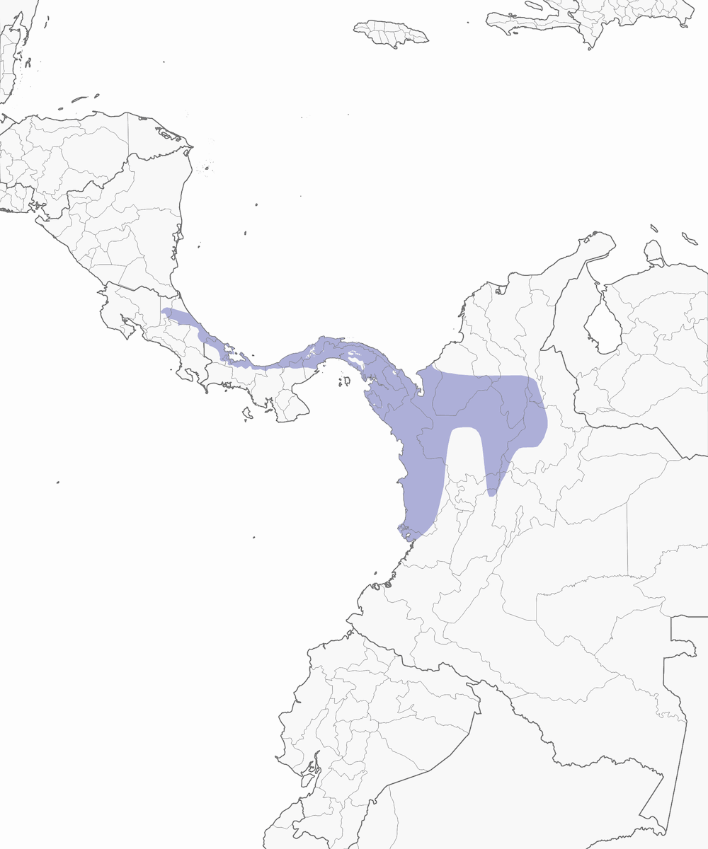 Plain-colored Tanager, Distribution 1