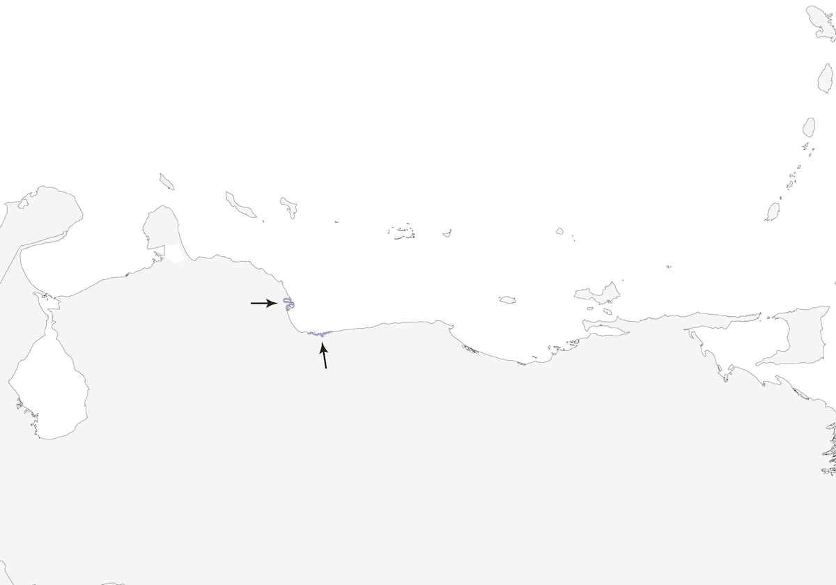 Râle à flancs unis, Distribution 1