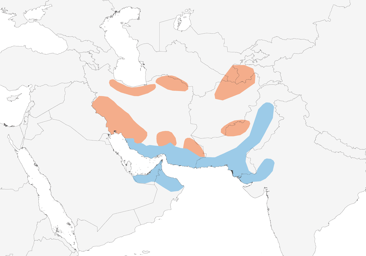 Plain Leaf Warbler, Distribution 1
