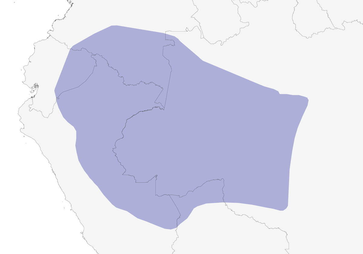 Cotinga à gorge prune, Distribution 1