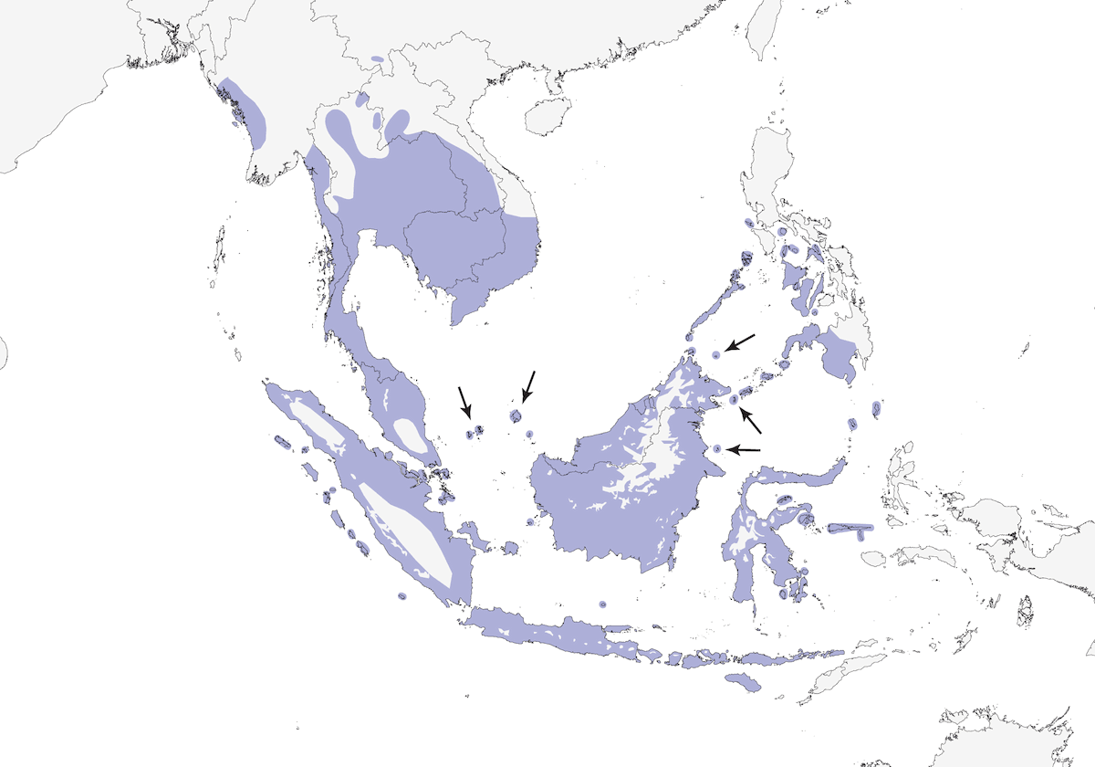 Brown-throated Sunbird, Distribution 1