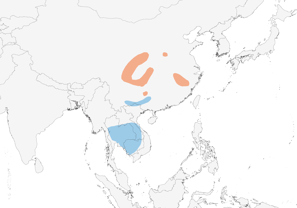 Pouillot d'Alström, Distribution 1