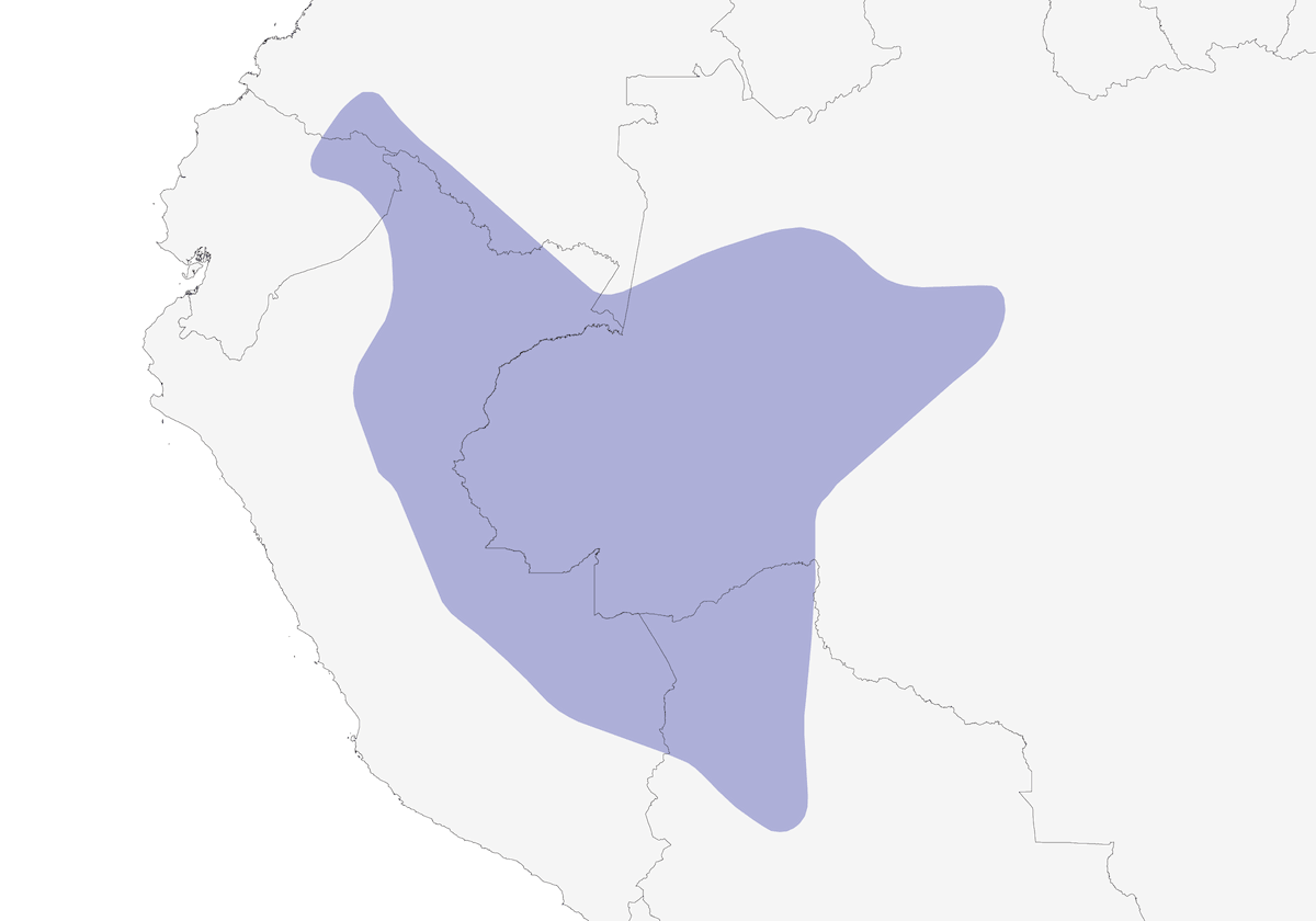Fourmilier plombé, Distribution 1