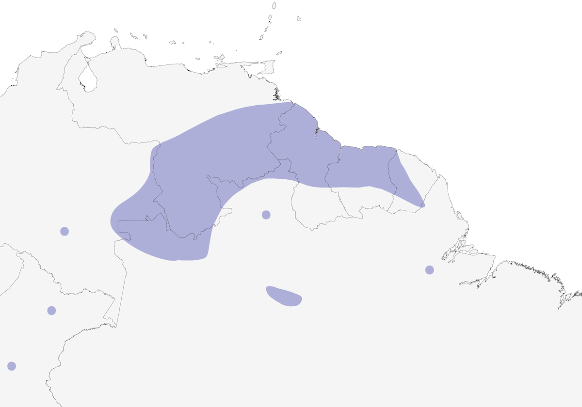 Eufonia plúmbea, Distribución 1