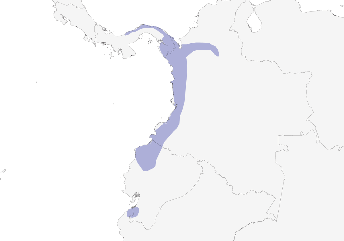 Plumbeous Hawk, Distribution 1