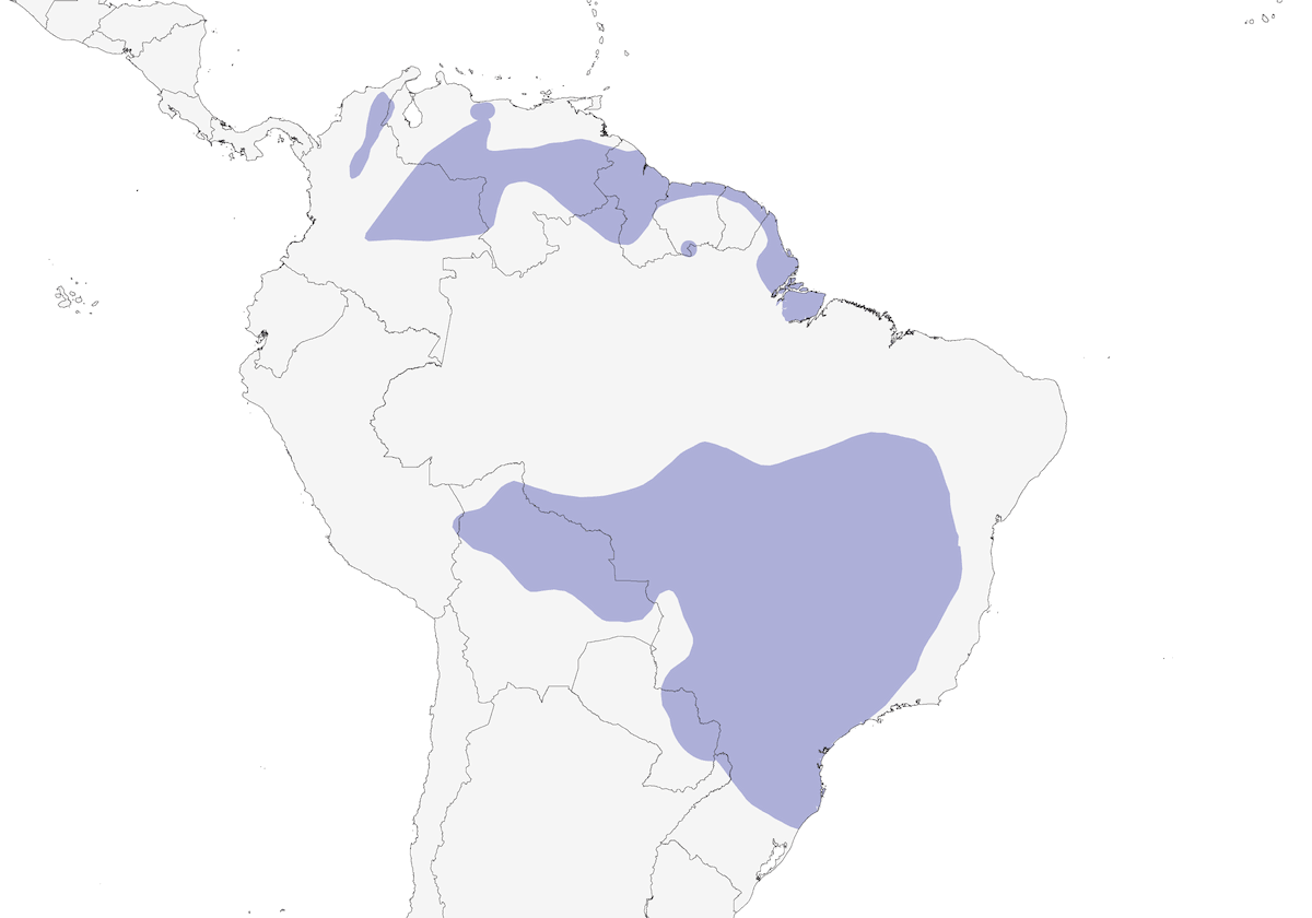 Plumbeous Seedeater, Distribution 1