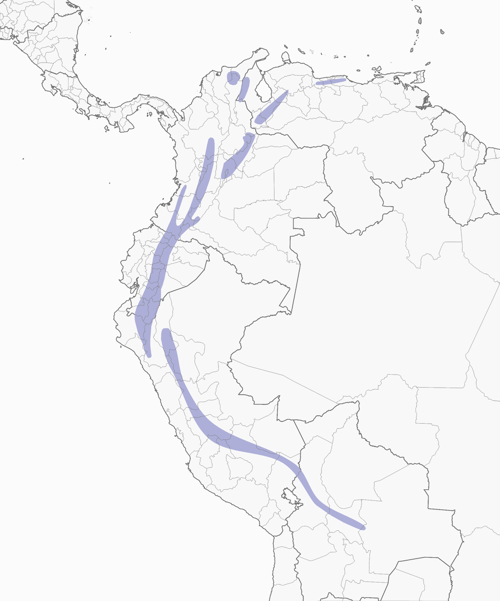 Picofruta copetón, Distribución 1