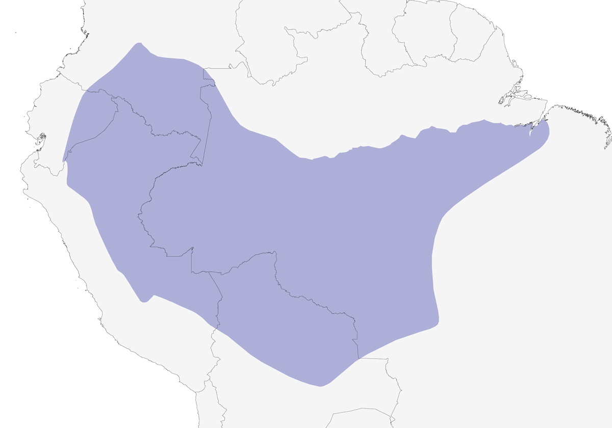 Plain-winged Antshrike, Distribution 1