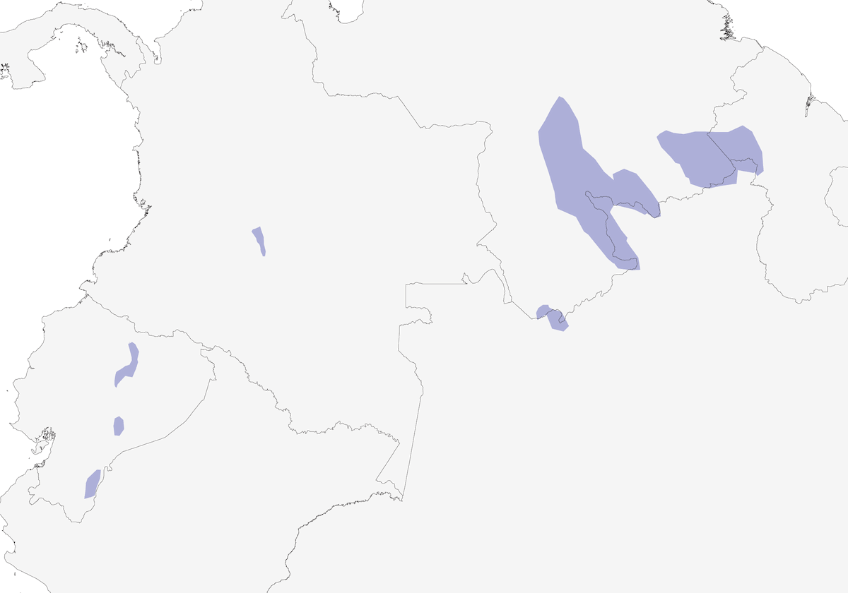 Mirmoterula alisemplic, Distribuzione 1