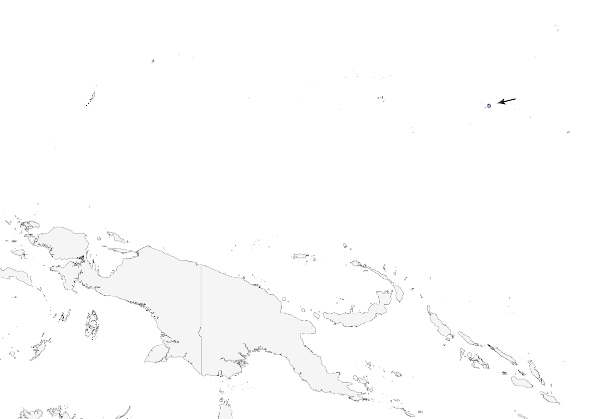 Codaventaglio di Pohnpei, Distribuzione 1