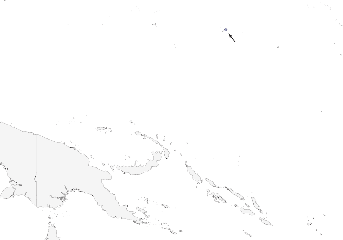 Anteojitos de Pohnpei, Distribución 1
