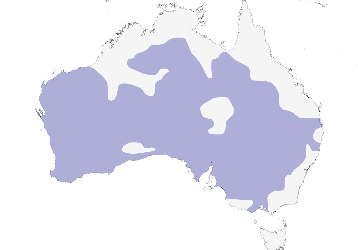 Perico Anillado Australiano, Distribución 1